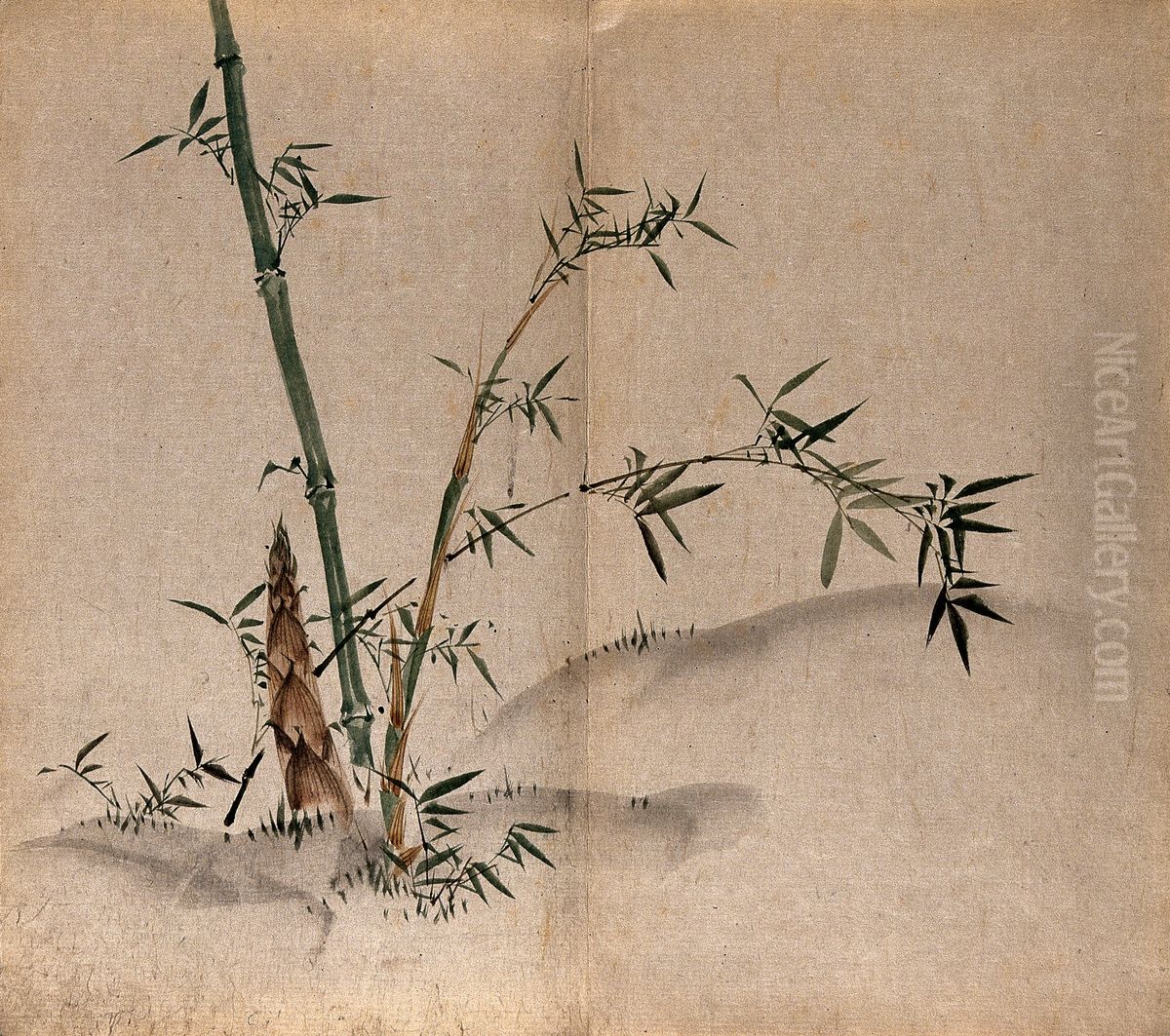 leafy stems and new shoots in grassland. Oil Painting by unknown