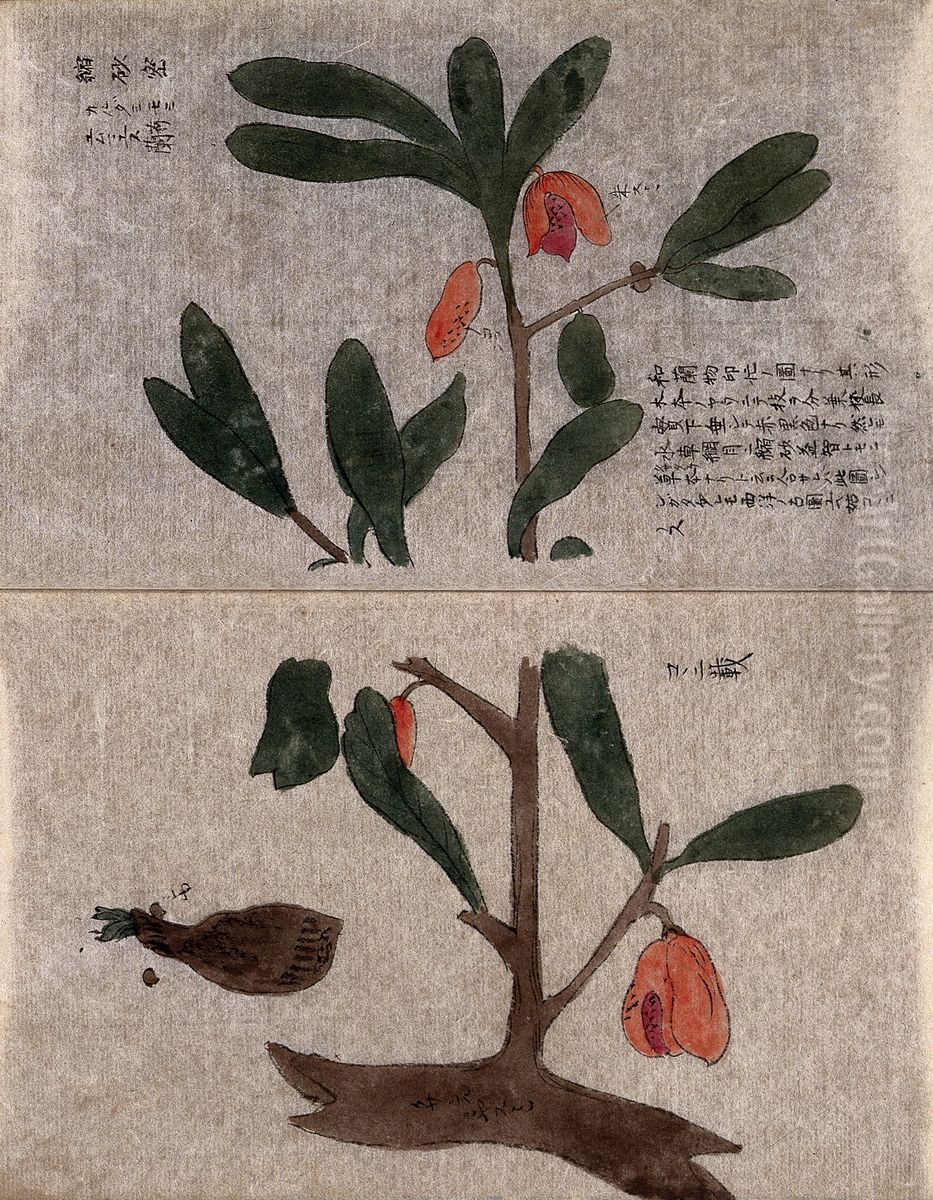 A flowering tree branch with a separate germinating seed. Oil Painting by unknown