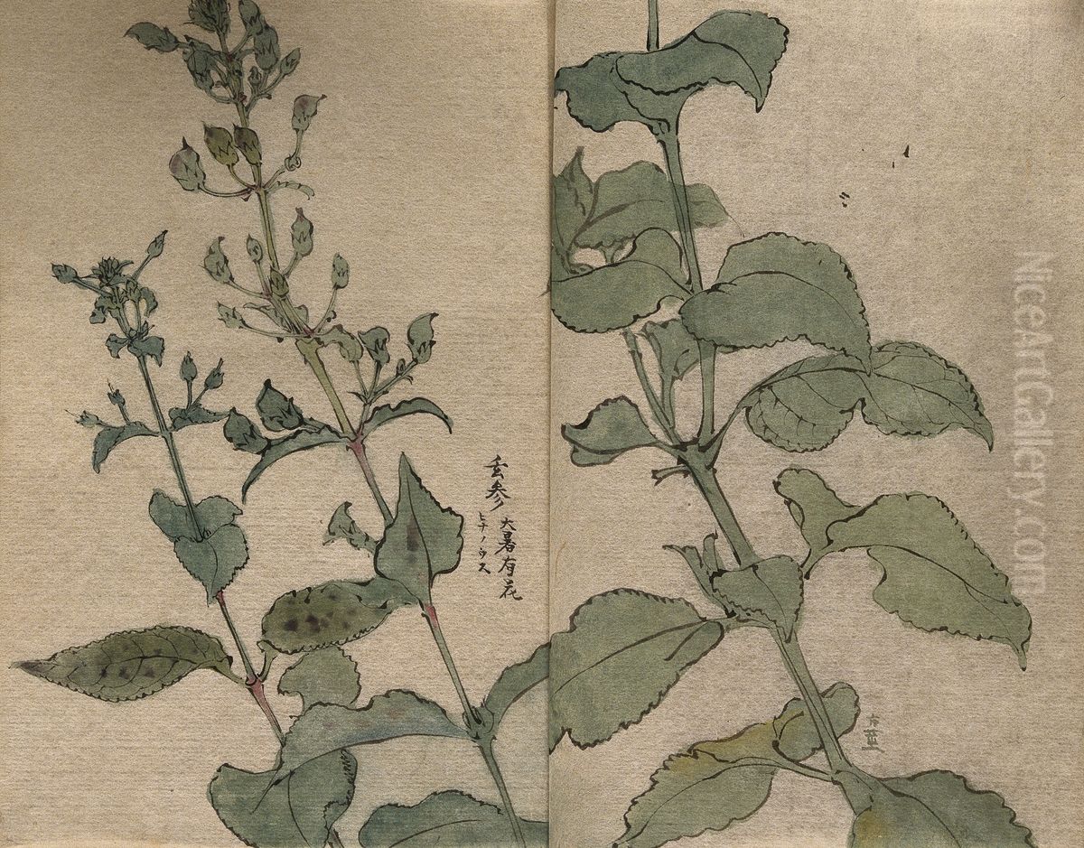 stem in two sections. Oil Painting by unknown