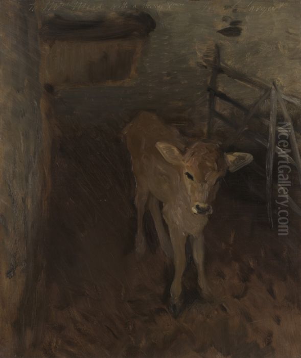 A Jersey Calf Oil Painting by John Singer Sargent