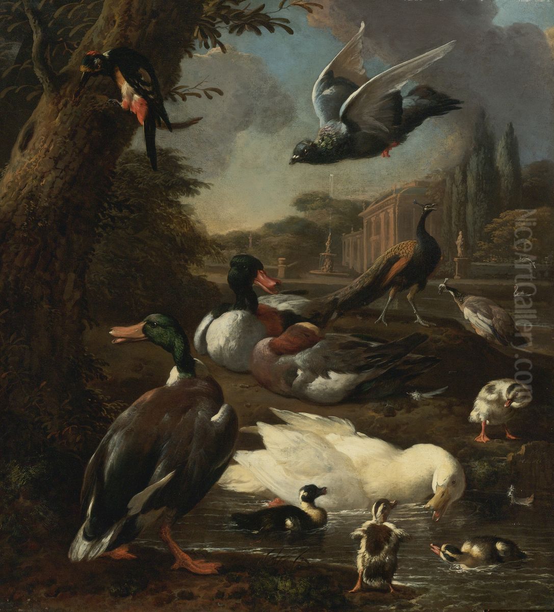 A Peacock, Pigeon, Ducks And Other Birds In a Garden Setting Oil Painting by Melchior D'Hondecoeter