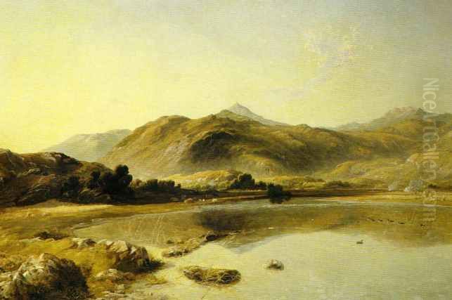 A view of theMoel Siabod Oil Painting by unknown