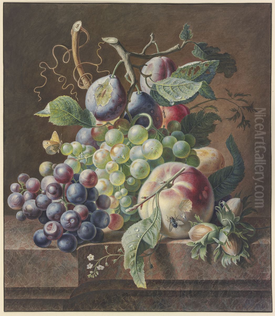 Fruchtestuck mit Pfirsich, Haselnuss,Trauben und Pflaumen Oil Painting by Jan Van Huysum