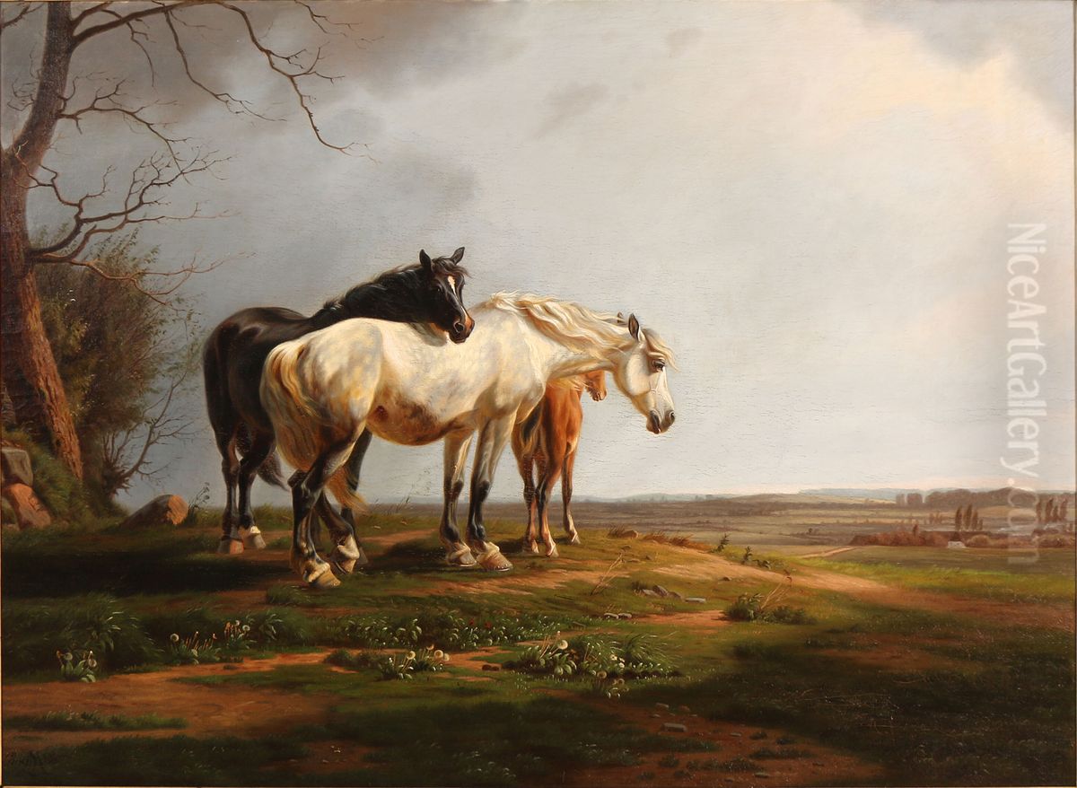 A flock of horses in a field in the sun Oil Painting by Adolf Mackeprang