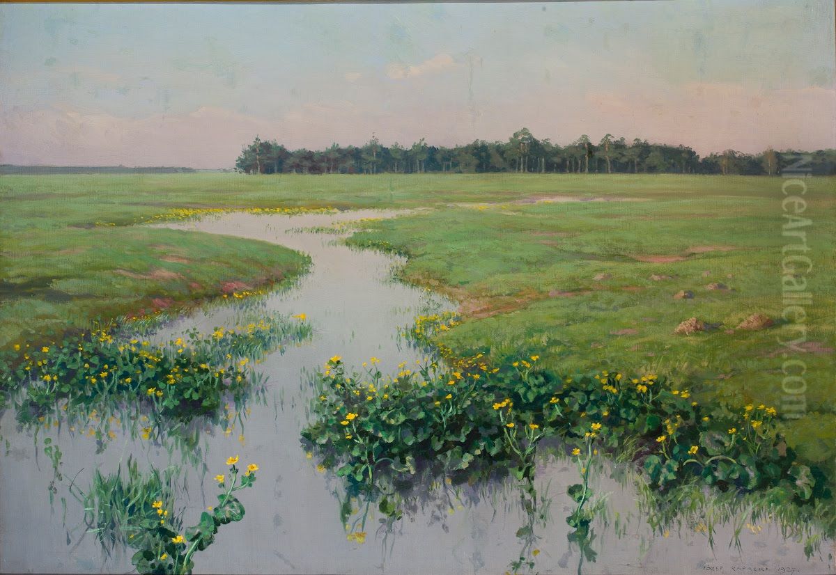 Kaczence Oil Painting by Jozef Rapacki