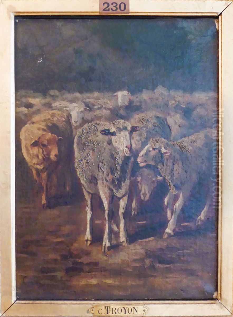 Etude de moutons Oil Painting by Constant Troyon