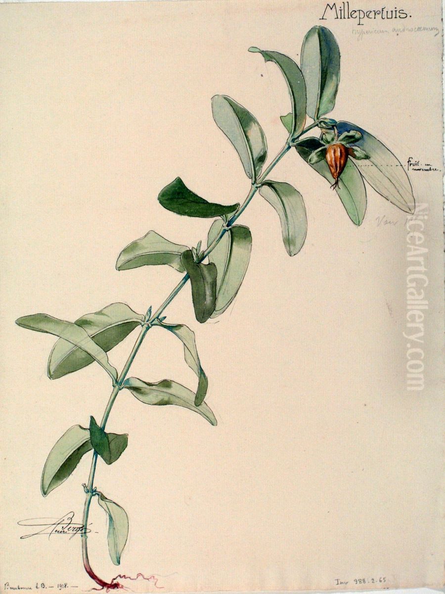 Etude de millepertuis Oil Painting by Henri Berge