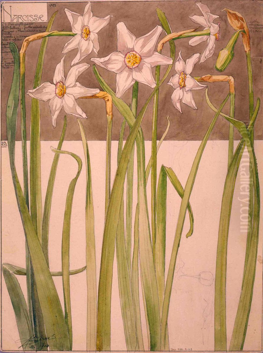 Etude de narcisses Oil Painting by Henri Berge