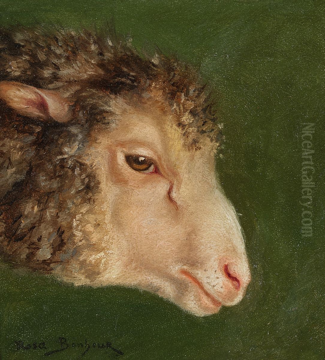 Head of an Ewe Oil Painting by Rosa Bonheur