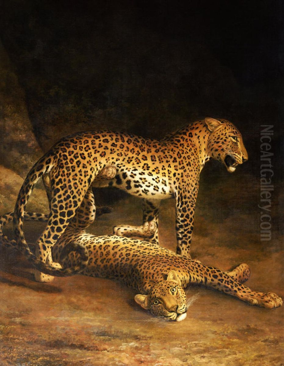 Two Leopards Lying in the Exeter Oil Painting by Jacques-Laurent Agasse