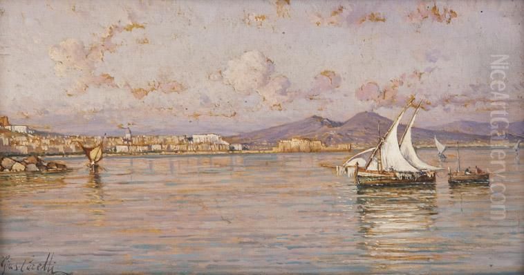 Veduta Del Vesuvio Da Mergellina Oil Painting by Giuseppe Carelli