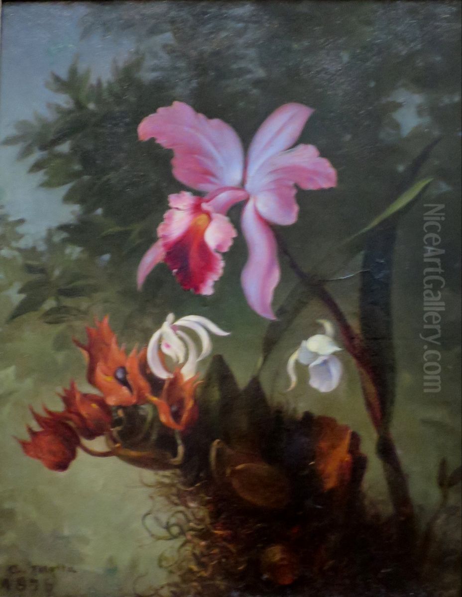 Orchids Oil Painting by Agostinho Jose da Mota