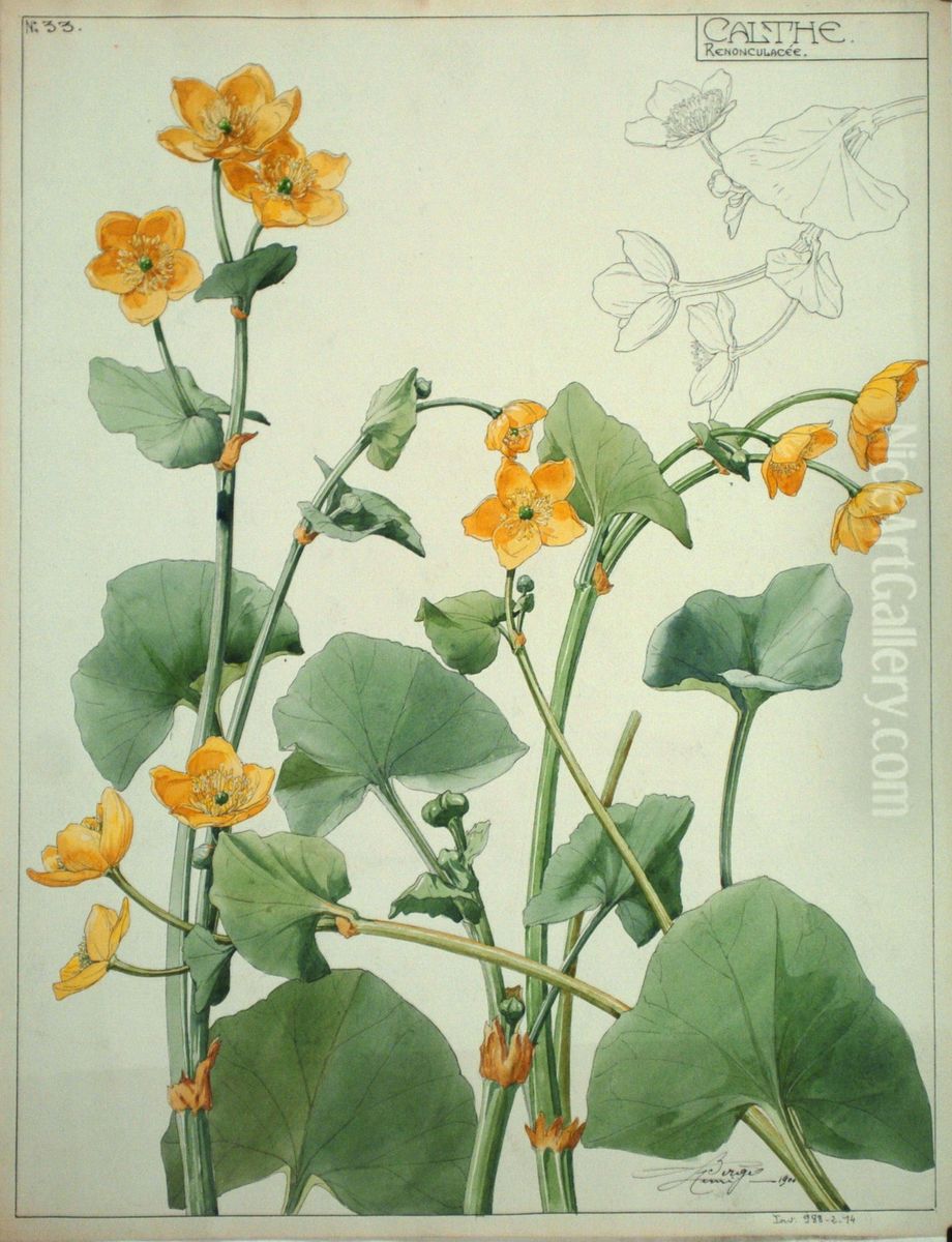 Etude de Calthes Oil Painting by Henri Berge