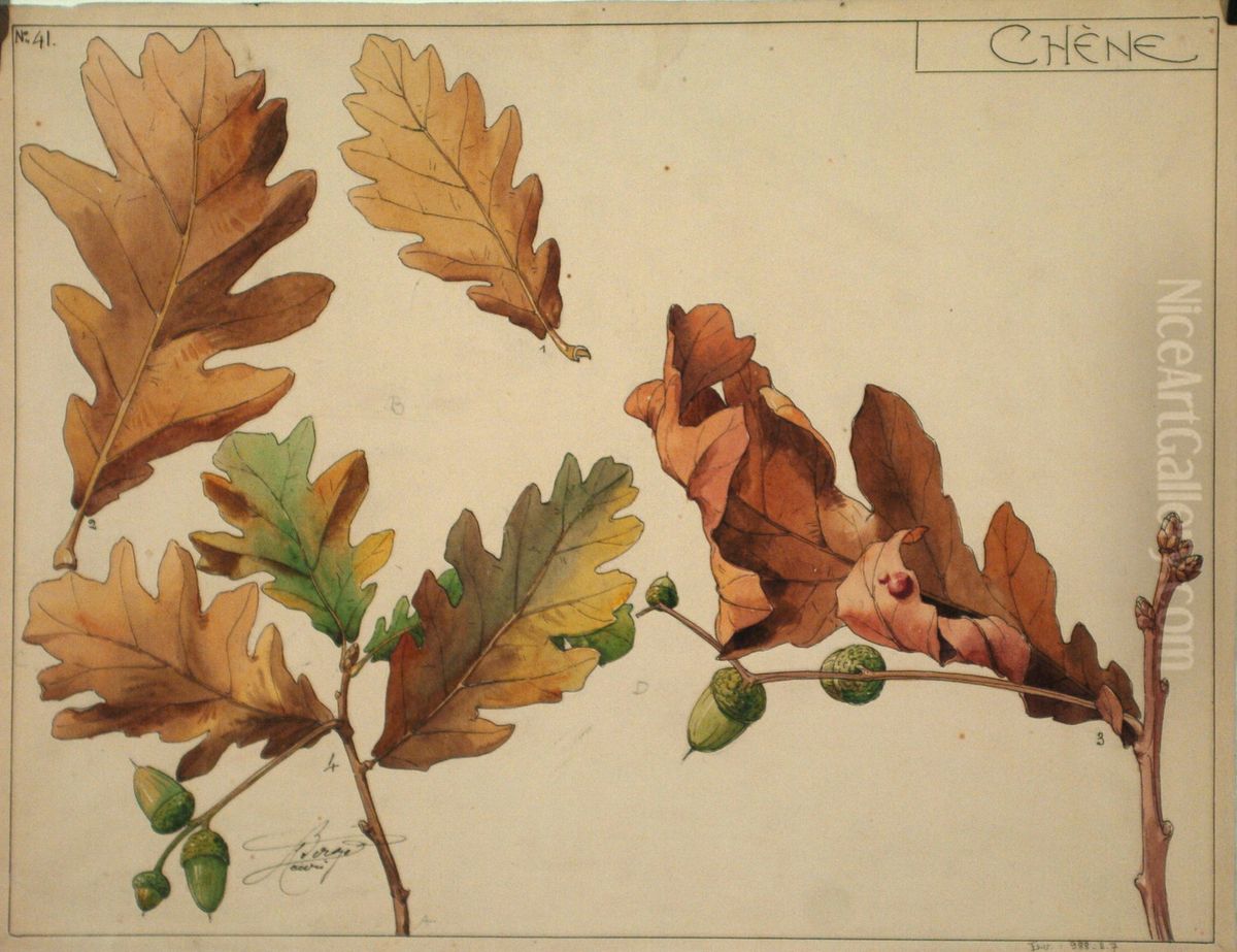 Etude botanique de chene Oil Painting by Henri Berge