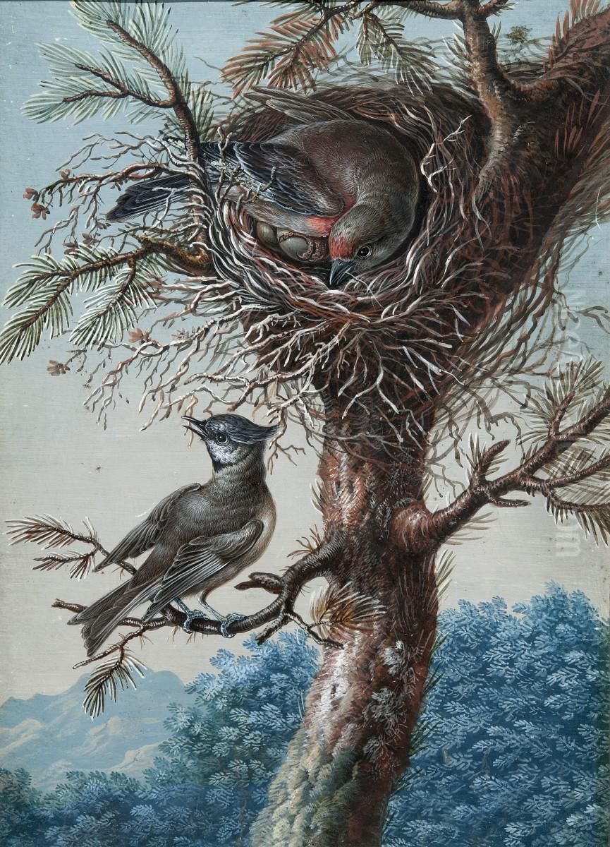 Greater Redpole and crested titmous; Bluethroat Oil Painting by Christoph Ludwig Agricola