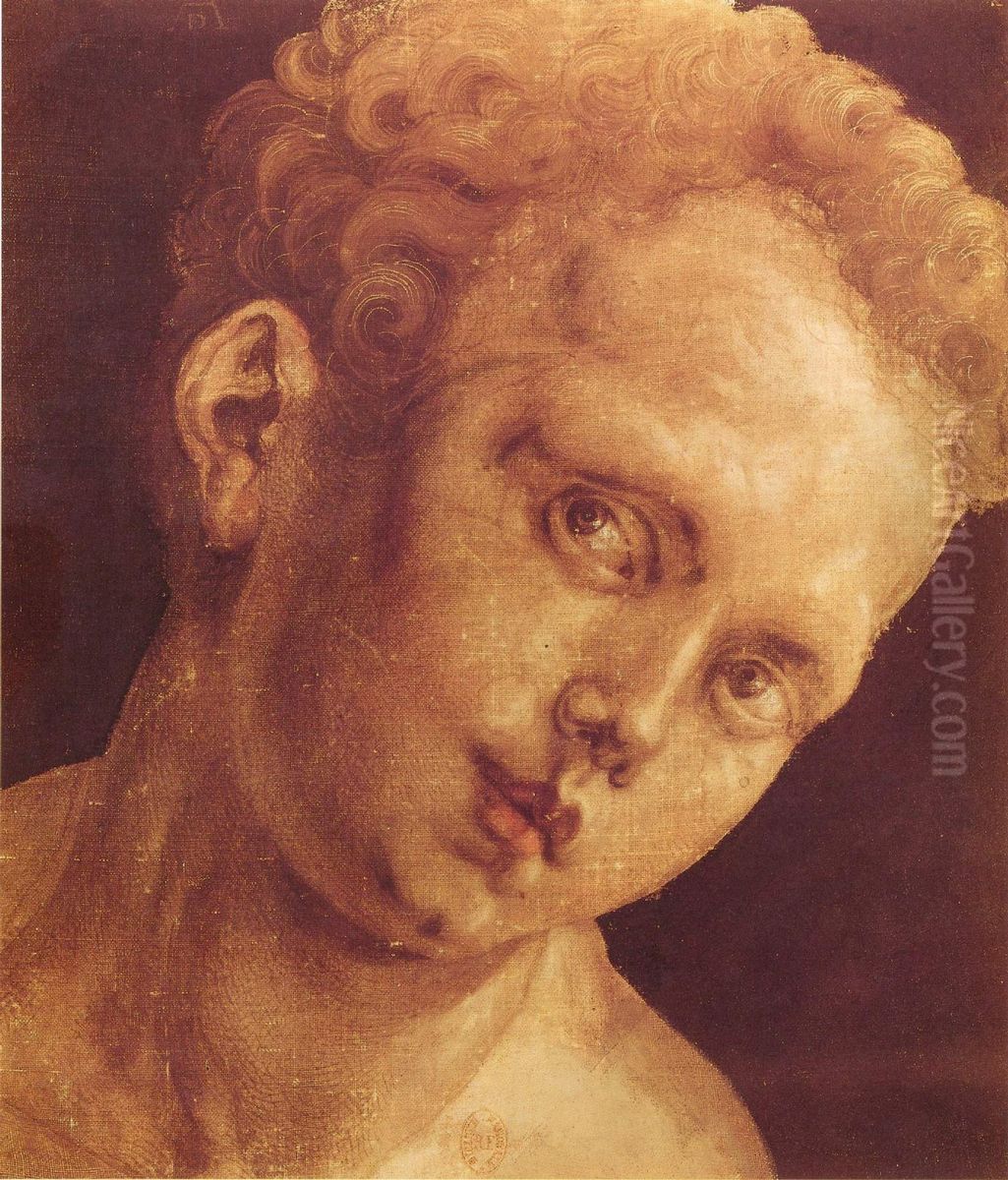 Knabenkopf nach rechts geneigt Oil Painting by Albrecht Durer