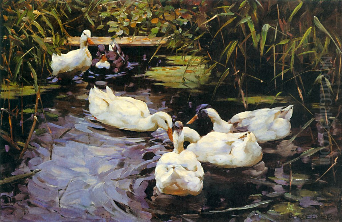Enten auf einem Schilfteich Oil Painting by Alexander Koester