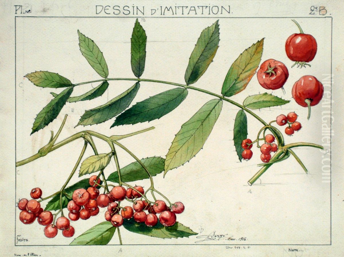 Etude de sorbier Oil Painting by Henri Berge