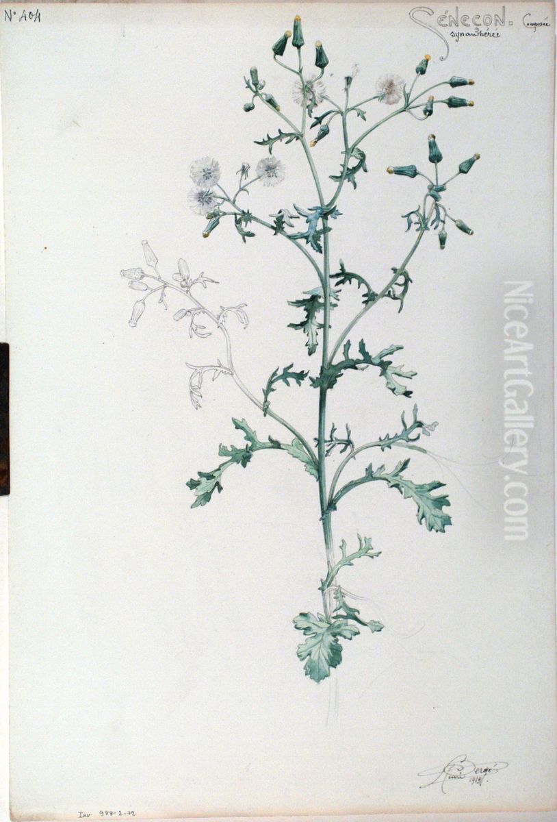 Etude de Senecon Oil Painting by Henri Berge