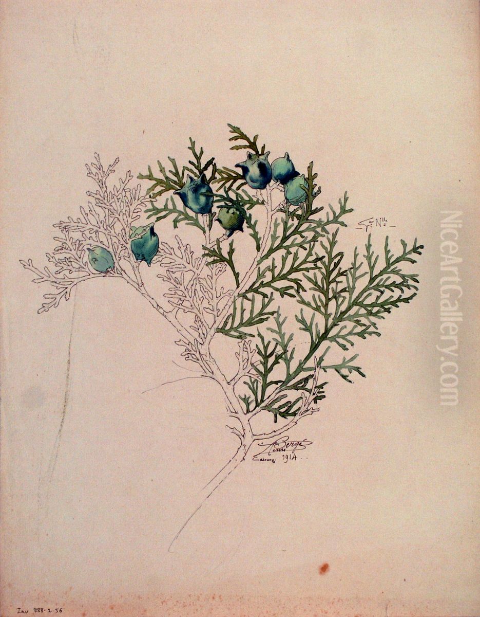 Etude de Thuya Oil Painting by Henri Berge