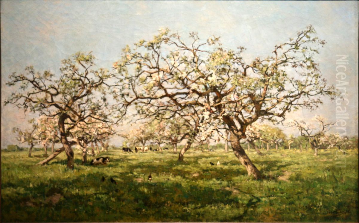 An orchad in spring Oil Painting by Isidore Verheyden