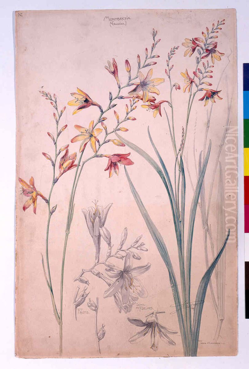 Etude de Montbretia Oil Painting by Henri Berge