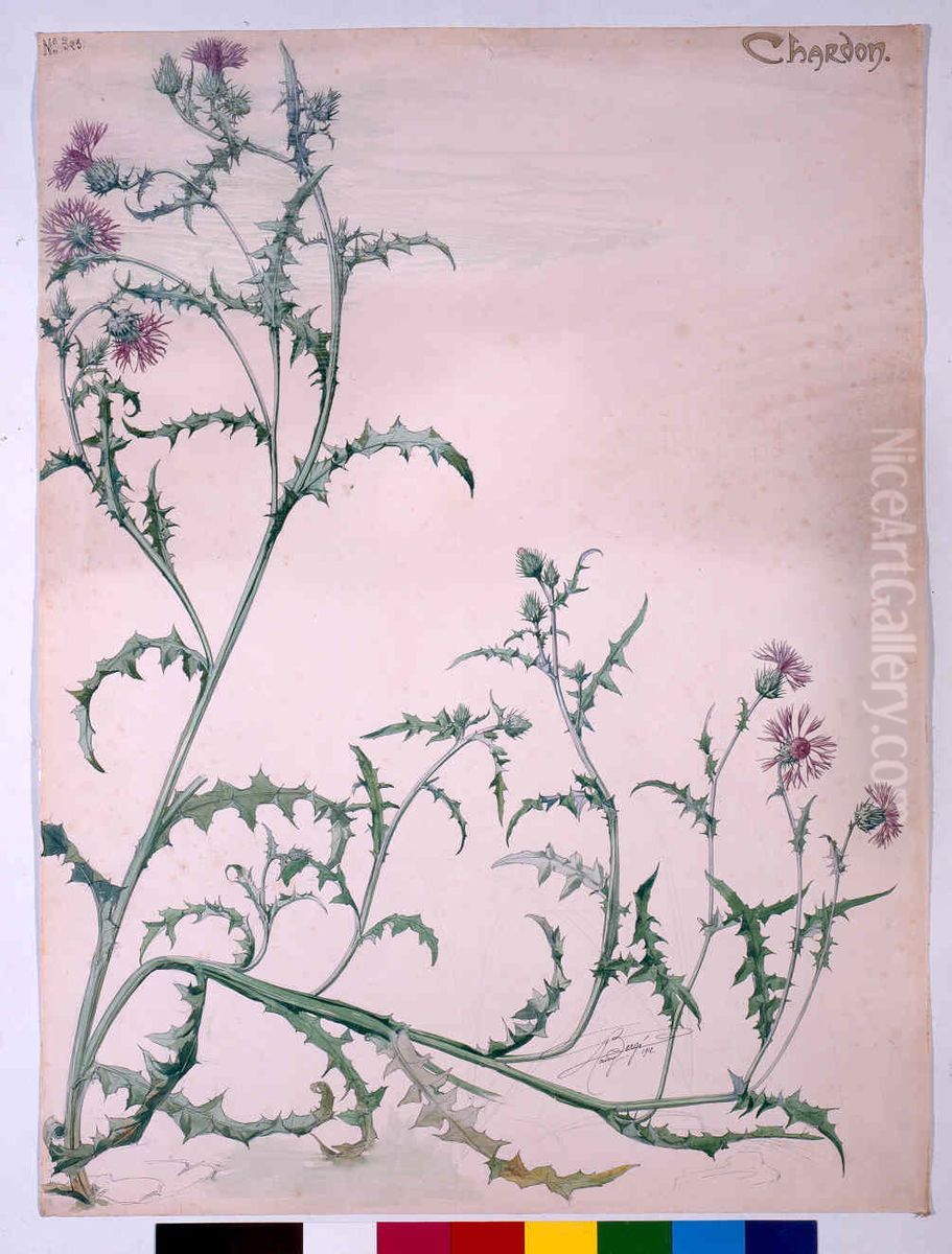 Etude de chardons Oil Painting by Henri Berge