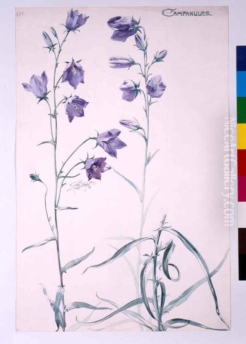 Etude de campanules Oil Painting by Henri Berge