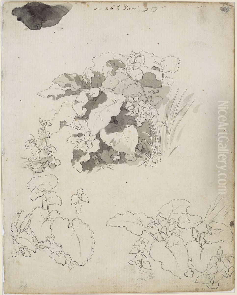 Pflanzen- und Blattstudien Oil Painting by Caspar David Friedrich