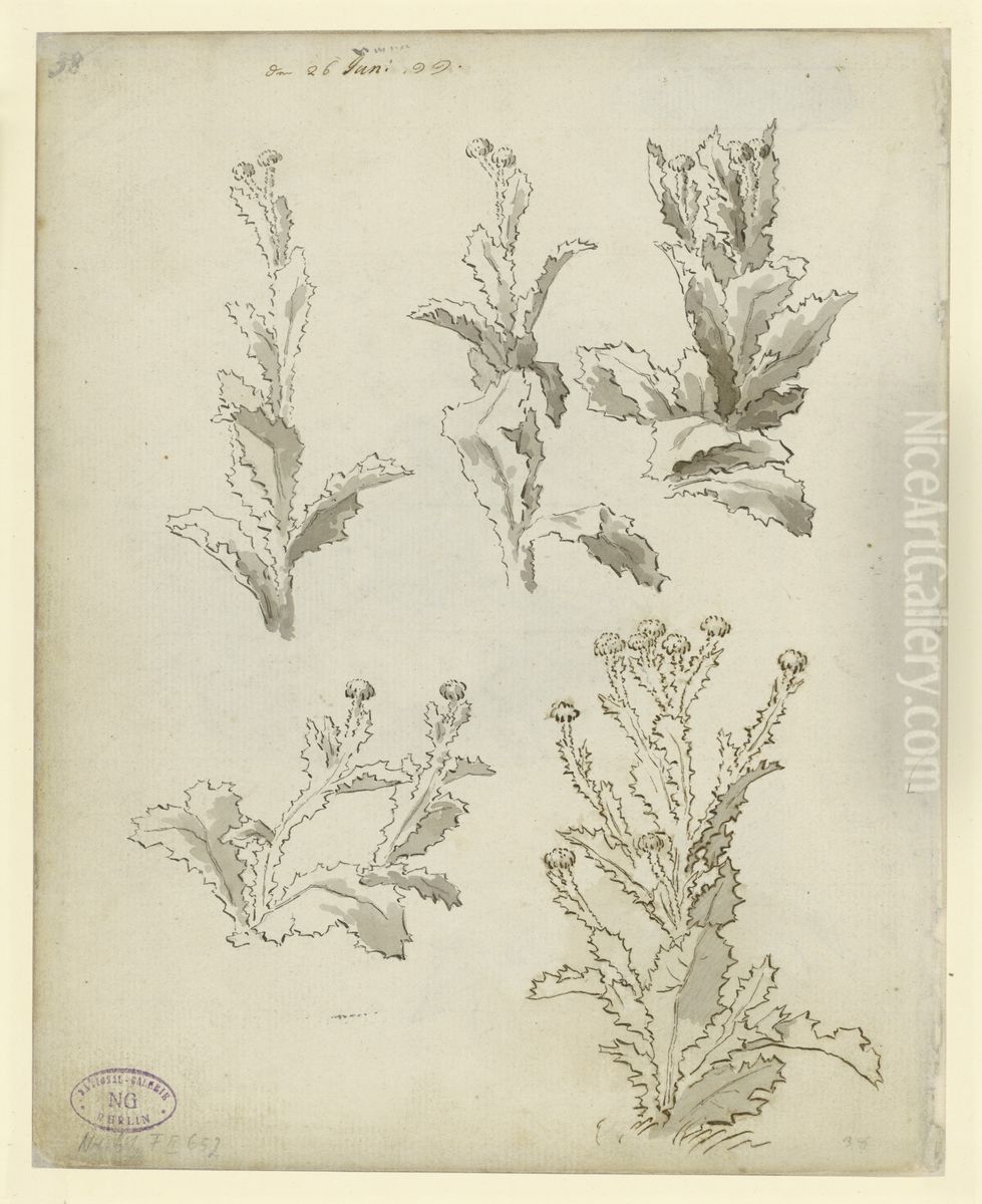 Disteln Oil Painting by Caspar David Friedrich