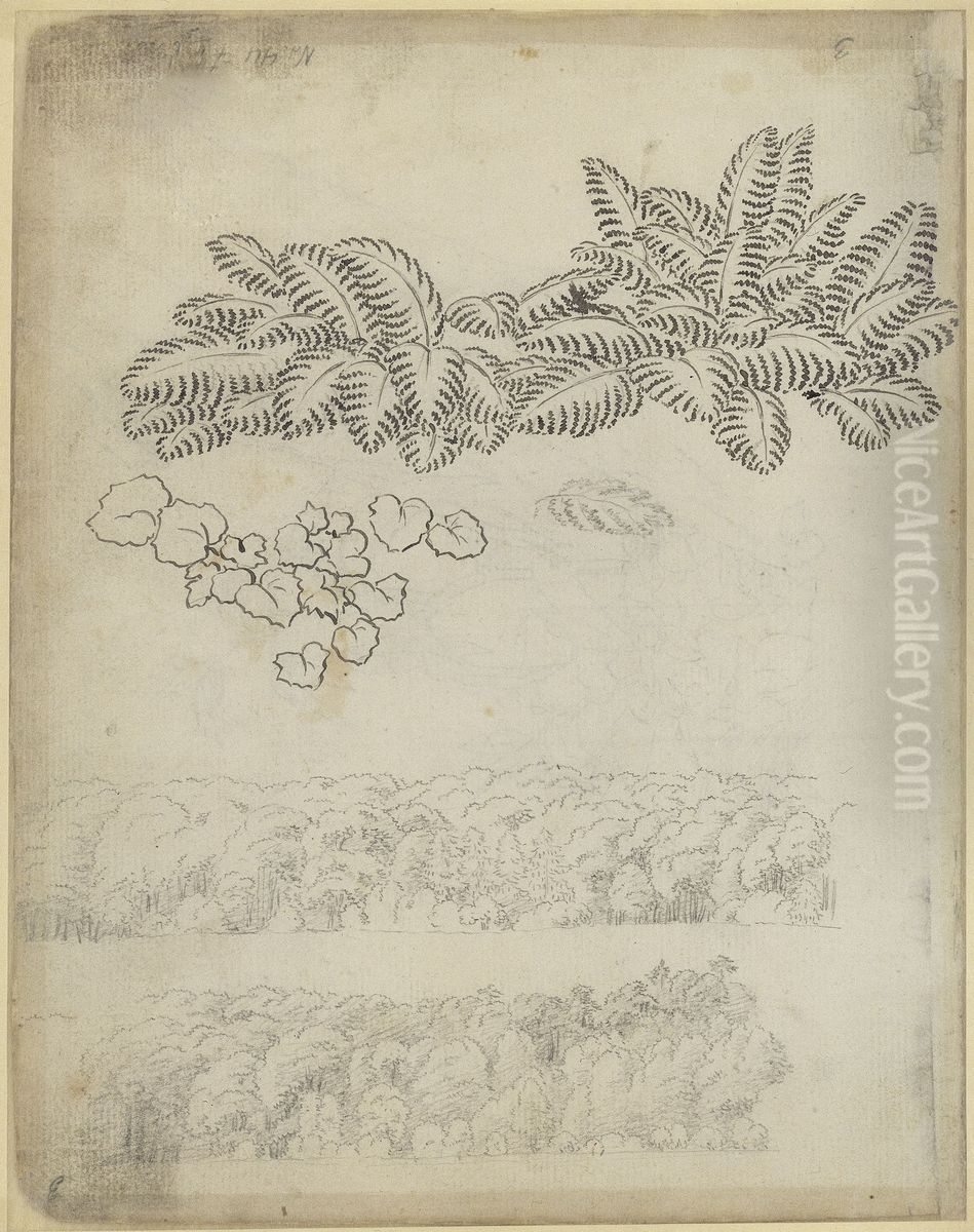 Pflanzenstudie (Farn) und Laubwald Oil Painting by Caspar David Friedrich