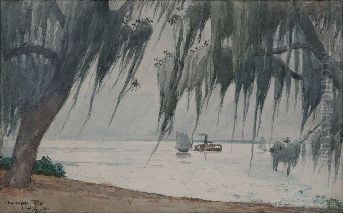 Spanish Moss, Tampa bay, Florida Oil Painting by Winslow Homer