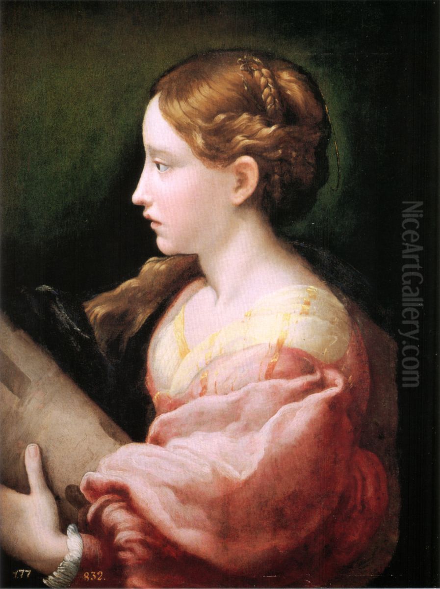 Saint Barbara Oil Painting by Parmigianino