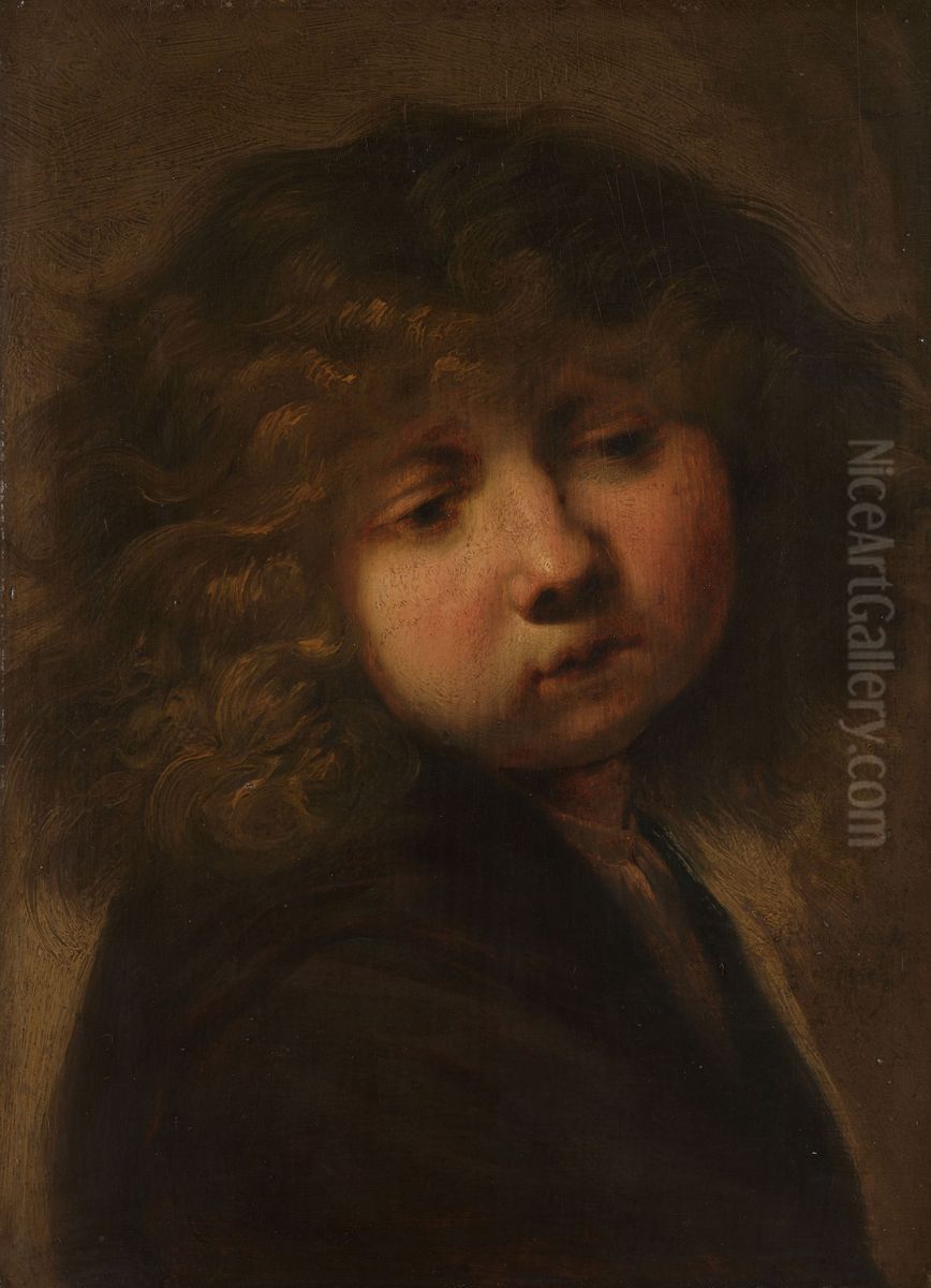 Head of a Boy Oil Painting by Rembrandt