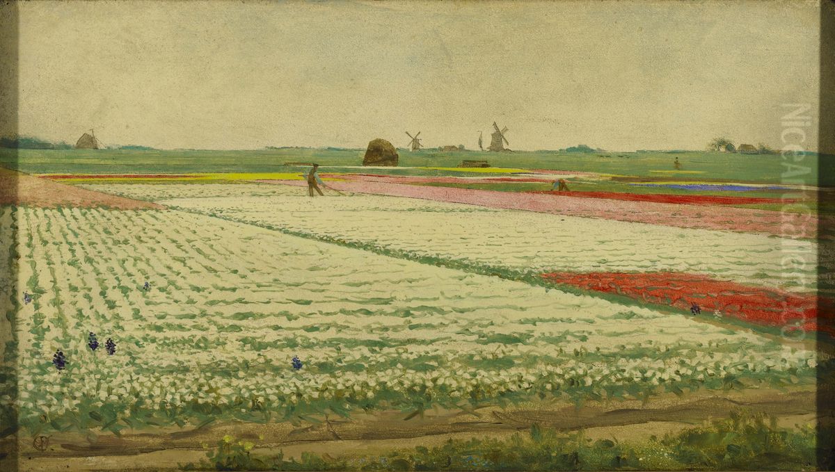 Tulpenvelden Oil Painting by Gerrit Willem Dijsselhof