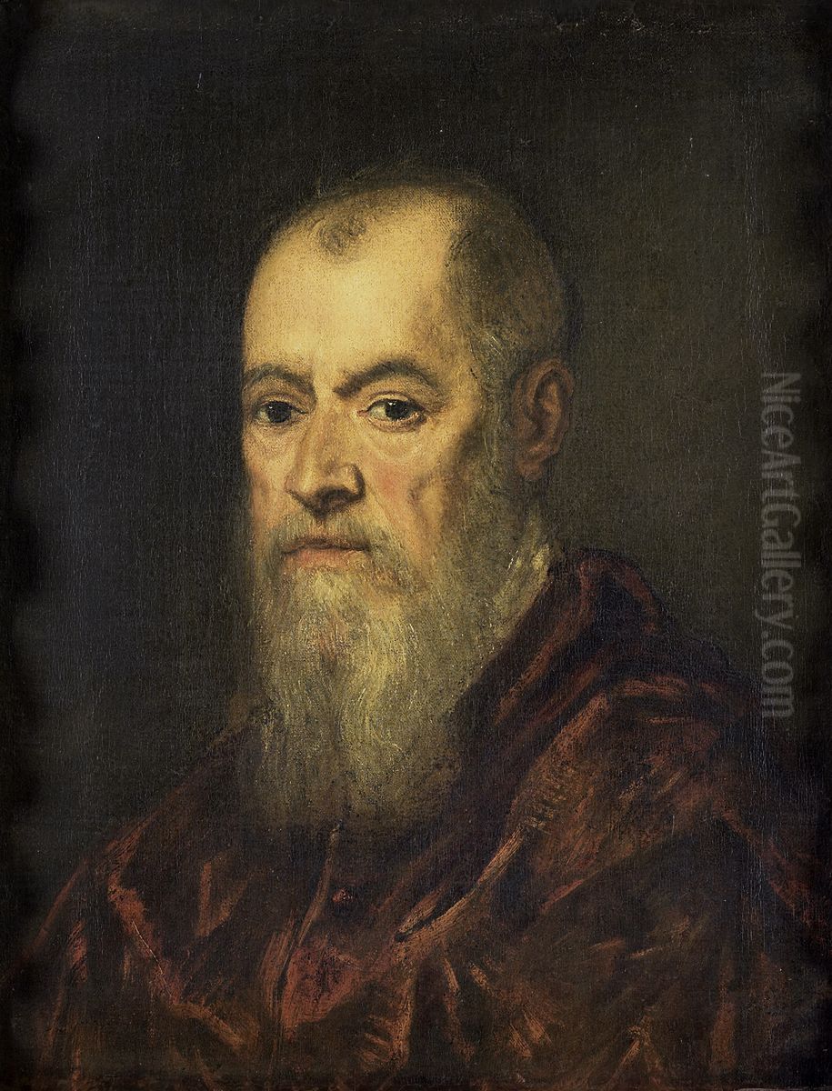 Portrait of a Man with a Red Robe Oil Painting by Jacopo Tintoretto