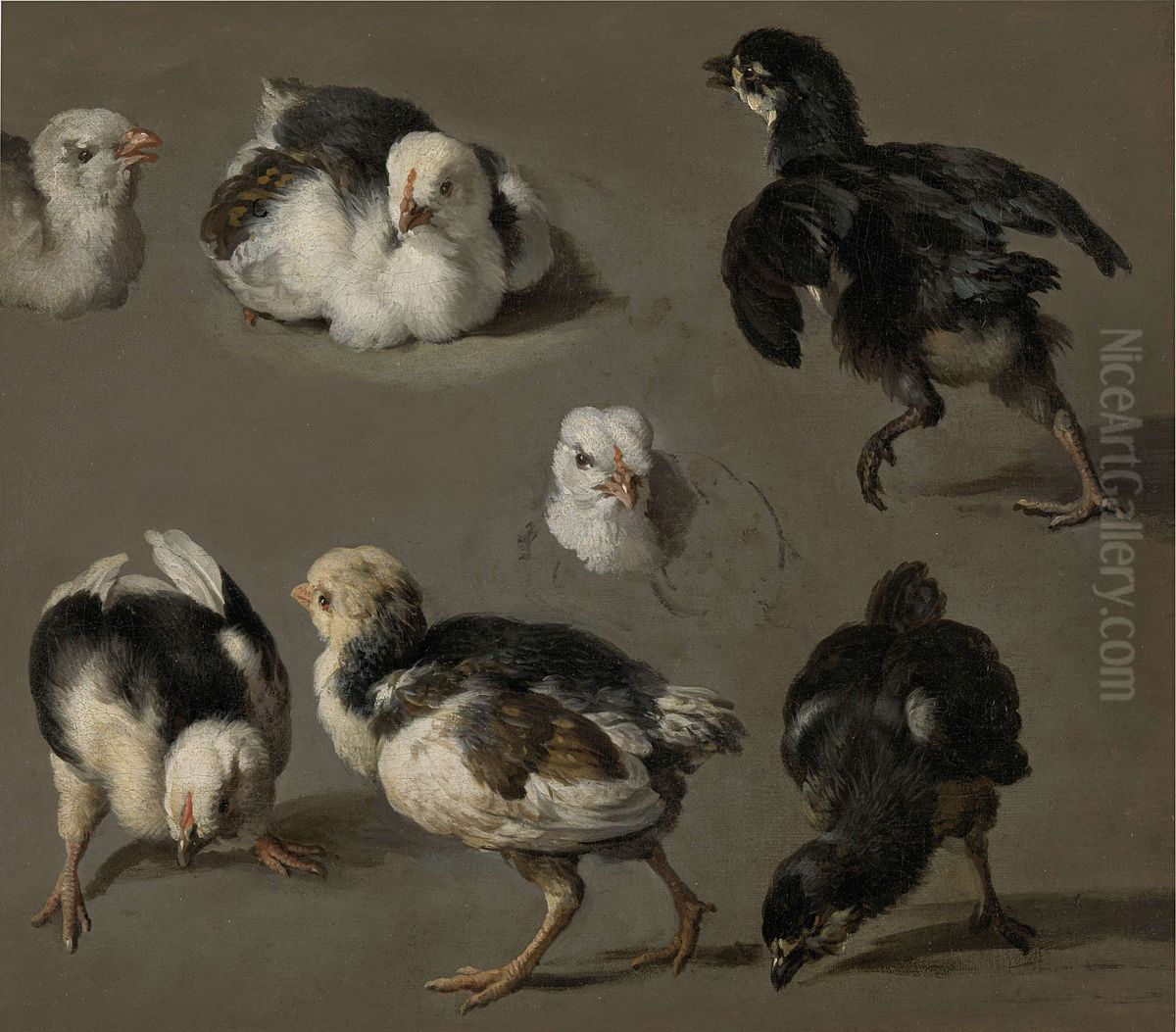 Sept poussins Oil Painting by Melchior D'Hondecoeter