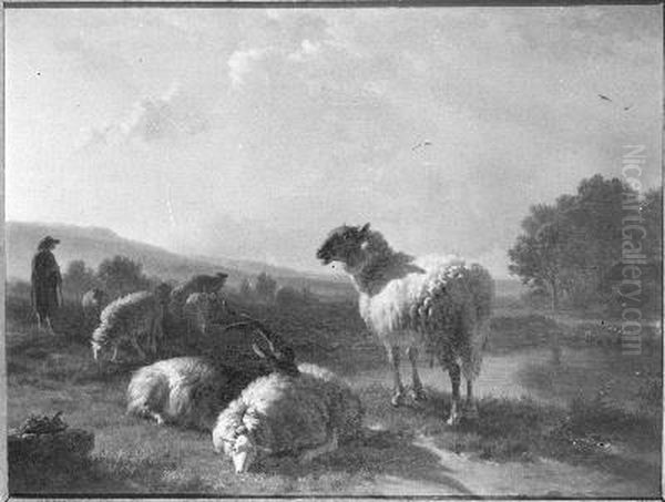 Schapen Oil Painting by Balthasar-Paul Ommeganck