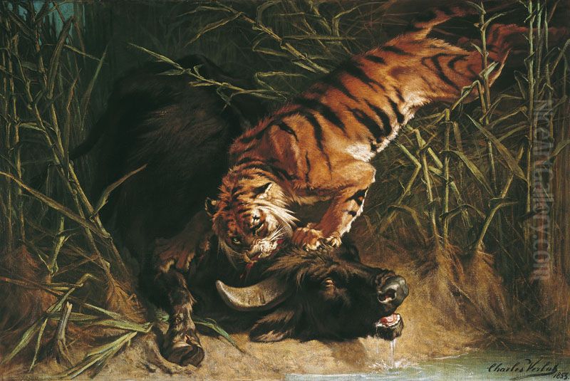 Buffle surpris par un tigre Oil Painting by Charles Verlat