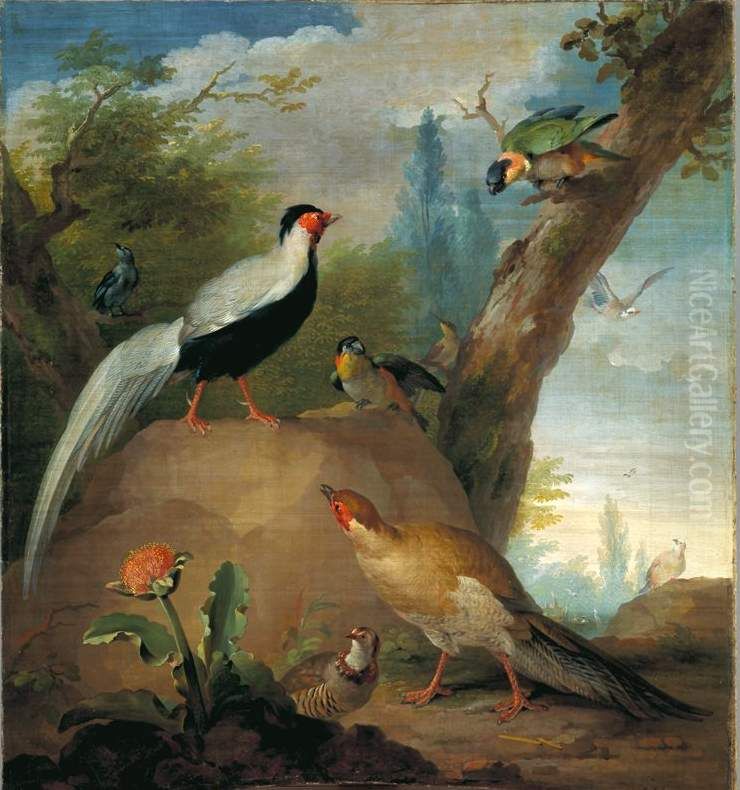 Vogels, schildering uit Keizersgracht 444-446-Dessus de porte Oil Painting by Aert Schouman