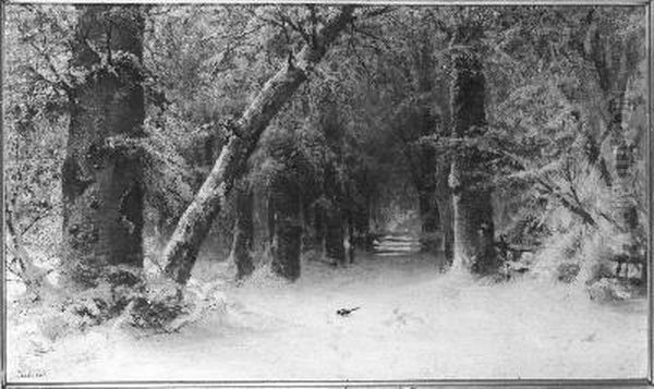 Bos in de winter Oil Painting by Sophus Jacobsen