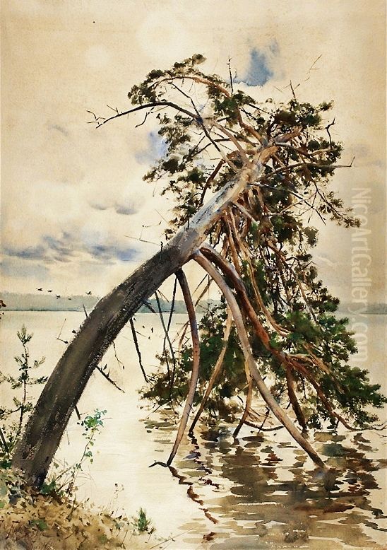 Switez. Oil Painting by Julian Falat