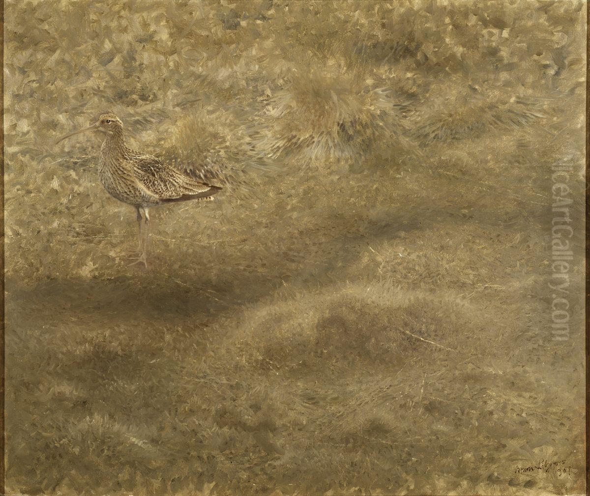 Eurasian Curlew Oil Painting by Bruno Andreas Liljefors