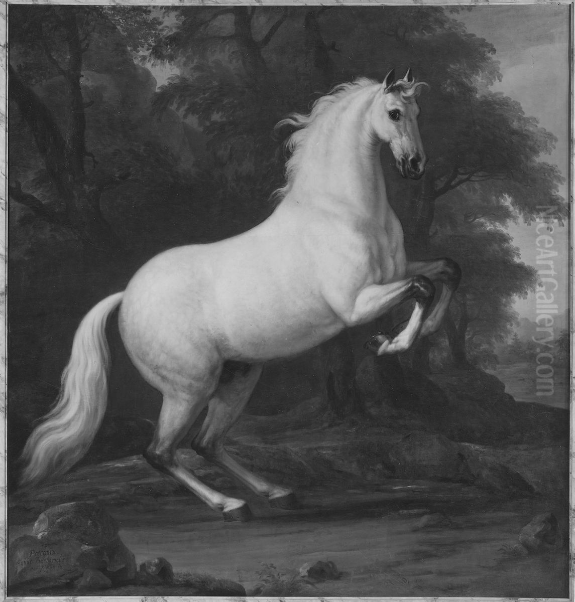 Karl XI:s livhast Precieux Oil Painting by David Klocker Ehrenstrahl