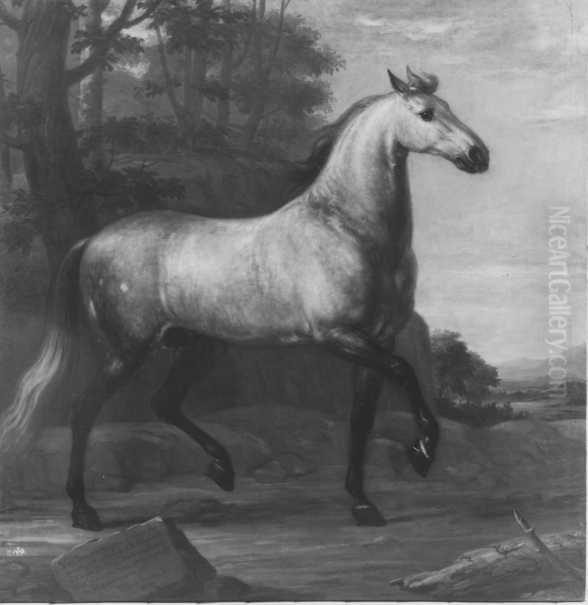 Karl XI:s livhast Visir Oil Painting by David Klocker Ehrenstrahl