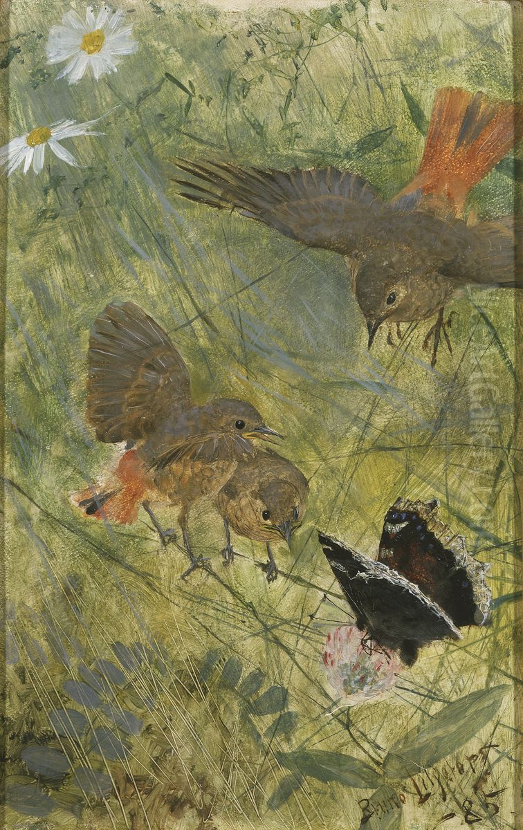 Redstarts and Butterflies. Five studies in one frame, NM 2223-2227 Oil Painting by Bruno Andreas Liljefors