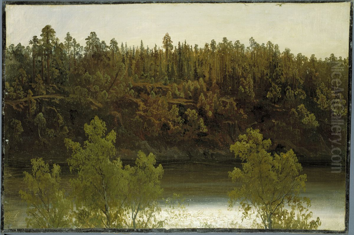 Swedish Lake. Study Oil Painting by Marcus Larson