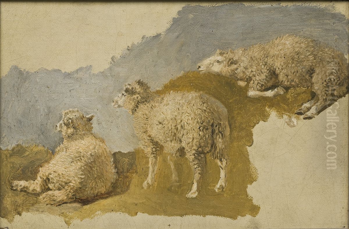 Three Sheep. Study Oil Painting by Kilian Christoffer Zoll