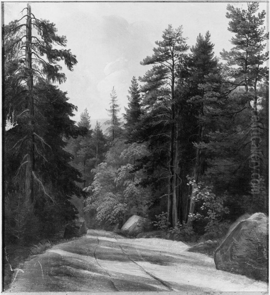 Motif from near Filipstad Oil Painting by August Winqvist