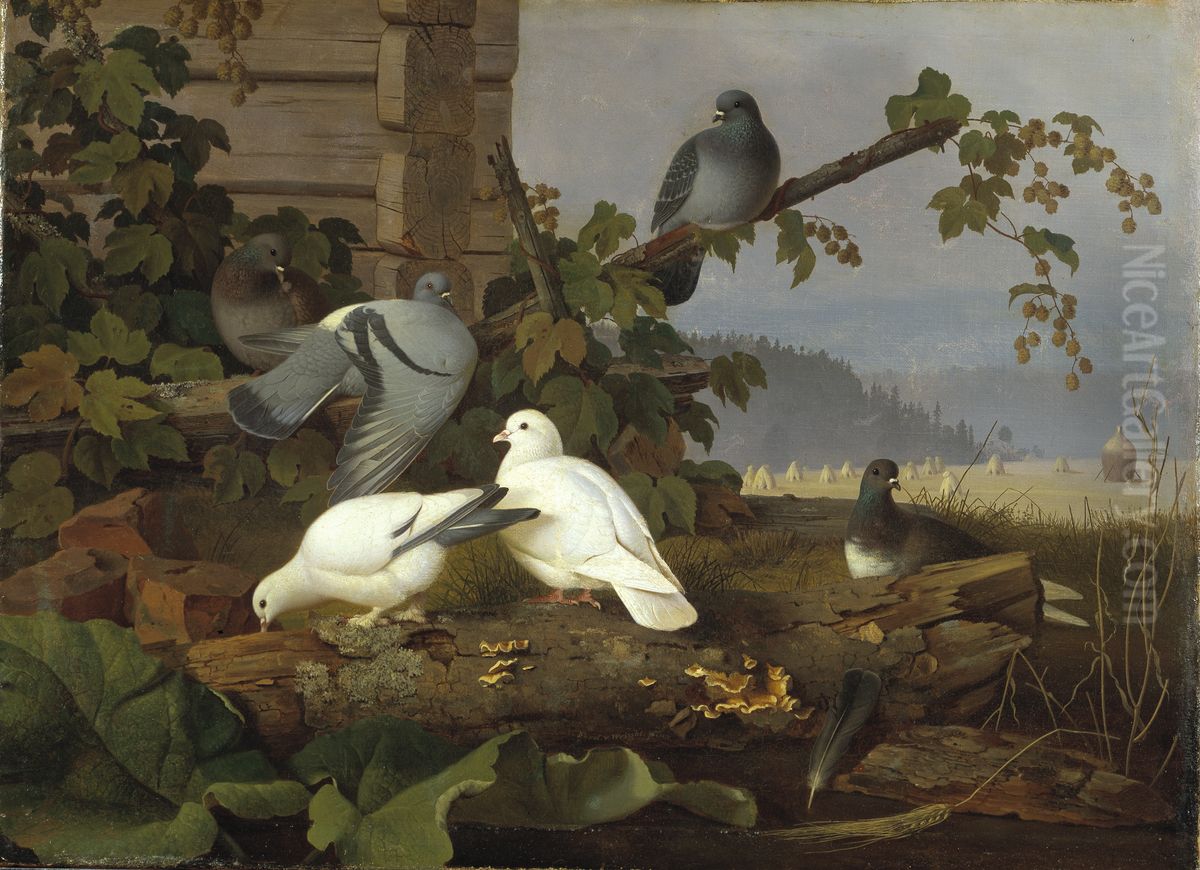 Pigeons Oil Painting by Ferdinand von Wright